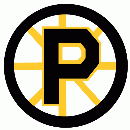 Providence Bruins 1992 93-1994 95 Primary Logo iron on transfers for clothing